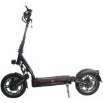 Dualtron City EY3 App 2025 LG – Zboží Mobilmania