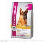 Eukanuba German Shepherd 2 x 12 kg – Sleviste.cz