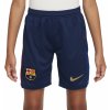 Dětské kraťasy a šortky Nike FCB Y NK DF SHORT STAD HM 2024/25 fn9187-410