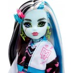 Mattel MONSTER HIGH FRANKIE STEIN – Hledejceny.cz