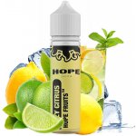 Hope Juice Shake & Vape Fizzy Citrus Lemonade 10 ml – Zboží Mobilmania