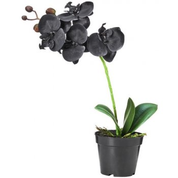 Butlers FLORISTA Orchidej v květináči 35 cm