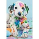 Norimpex Diamantové malování Barevné štěně 30 x 40 cm – Hledejceny.cz