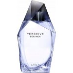 Avon Perceive Soul toaletní voda pánská 100 ml – Hledejceny.cz