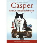 Casper, kocour cestující autobusem – Hledejceny.cz