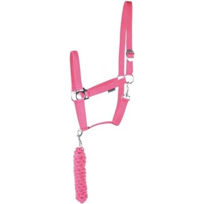 HARRY'S HORSE Ohlávka s vodítkem Initial fuchsia – Zboží Mobilmania