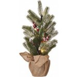 Emos LED vánoční stromek zasněžený 52 cm DCTW04 – Hledejceny.cz