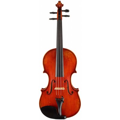 Eastman Frederich Wyss Violin 4/4 VL703G – Zboží Dáma