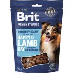 Brit Premium by Nature SM Snacks Lamb 180 g – Zboží Dáma