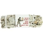 Botanic White Sage California Vykuřovadlo 1 ks – Hledejceny.cz