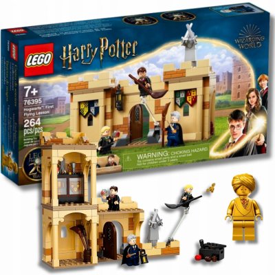 LEGO® Harry Potter™ 76395 Bradavice: první hodina létání – Zboží Živě