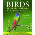 Birds of North America: A Photographic Atlas Beehler Bruce M.Pevná vazba – Sleviste.cz