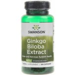 Swanson Ginkgo Biloba 60 mg 120 kapslí – Hledejceny.cz