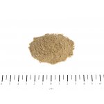 CANINA VELOX Kloubní energie 400 g – Hledejceny.cz
