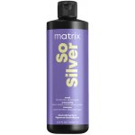 Matrix Total Results Color Obsessed So Silver Mask 500 ml – Zboží Dáma