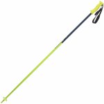 Elan SPEEDROD 2018/19 – Sleviste.cz