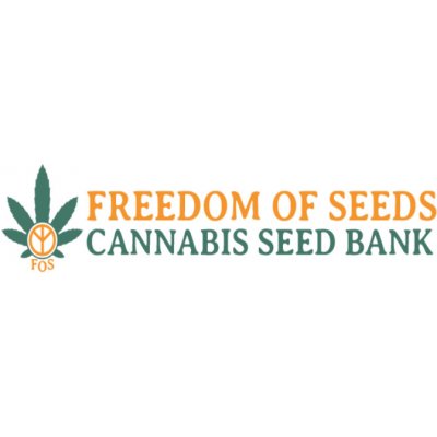 Freedom Of Seeds Big Domina Auto semena neobsahují THC 3 ks – Zboží Mobilmania