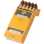 Cohiba Short 10 ks – Zboží Dáma