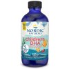 Doplněk stravy na srdce, žílu, krevní oběh Nordic Naturals Children's DHA Omega 3 pro děti jahoda 530 mg 119 ml