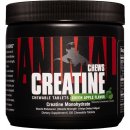 Universal Nutrition Animal Creatine Chews 120 tablet