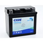 Exide AGM12-10 | Zboží Auto
