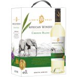 African Winery Chenin Blanc 13% 3 l (karton) – Zboží Dáma