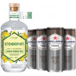 Endorphin Lemon Demon Gin 43% 0,5 l (holá láhev) – Zboží Dáma