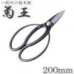 Kikuo Okubo 200/65 – Sleviste.cz