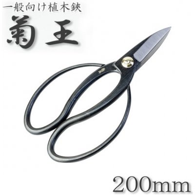 Kikuo Okubo 200/65 – Sleviste.cz