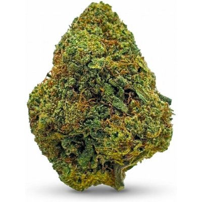KlonyKonopí Suver Haze 23% Colorado USA < 1% THC 10 kg – Zboží Dáma
