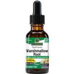 Nature's Answer Marshmallow Root Extract 30 ml – Hledejceny.cz