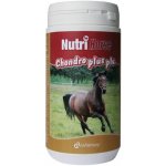 Nutri Horse Chondro Plus 1 kg – Zboží Mobilmania