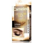 Delia Cosmetics Cameleo krémová profesionální barva na obočí 4.0 Brown 15 ml – Zbozi.Blesk.cz