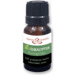 Altevita Bio esenciální olej 100% Eukalyptus 10 ml – Hledejceny.cz