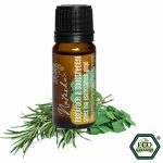 Natasha Inspirace a soustředění směs bio esenciálních olejů 10 ml – Zboží Dáma