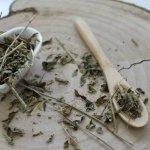 Dromy Máta peprná list 1 kg – Hledejceny.cz