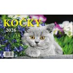 Kočky stolní 23 x 14 cm 2026 – Sleviste.cz