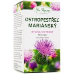 Dr.Popov Ostropestřec mariánský bylina + extrakt 60 kapslí – Hledejceny.cz