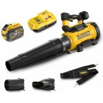 DeWalt DCMBL777X1 – Zboží Dáma