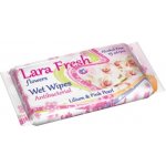 Freshmaker Ovoce kosmetické vlhčené ubrousky 15 ks – Zboží Dáma