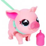 PIGGLY COBI MO-26366 Little LIve Pets – Zboží Mobilmania