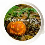 Kouzelná Víla sojový vosk Podzimní dýně 20 g – Zbozi.Blesk.cz