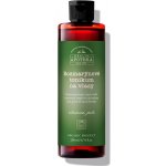 Havlíkova apotéka Rozmarýnové tonikum na vlasy 200 ml – Hledejceny.cz