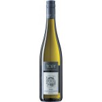 Johann Topf Riesling Kamptal DAC 2024 12,5% 0,75 l (holá láhev) – Hledejceny.cz
