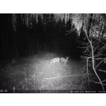 OXE Panther 4G – Zboží Živě