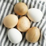Le Toy Van Farmářská vejce v bedýnce – Zbozi.Blesk.cz