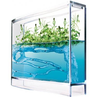 T.A.O.S. Super Forest Ant Ecoterrarium