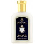 Truefitt & Hill Trafalgar balzám po holení 100 ml – Hledejceny.cz