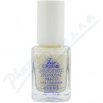 Cedro Four Seasons zpevňovač nehtů 14 ml – Zboží Dáma