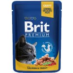 Brit Premium Cat Pouches with Salmon & Trout 24 x 100 g – Sleviste.cz